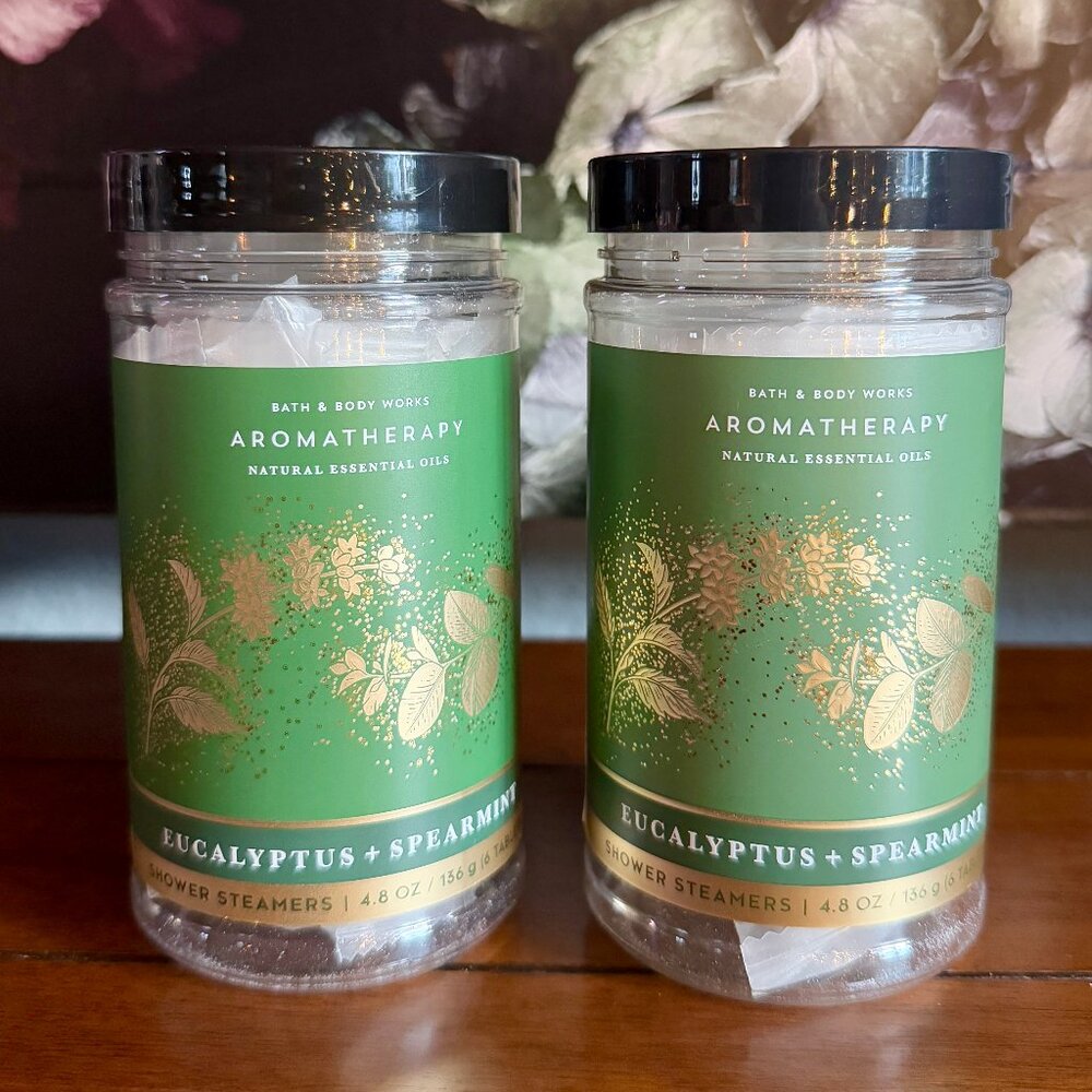 NEW 2-Pc Aromatherapy Eucalyptus+Spearmint Shower Steamers Bath & Body Works